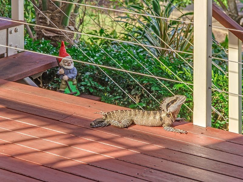 39 Promenade Avenue, Robina QLD 4226