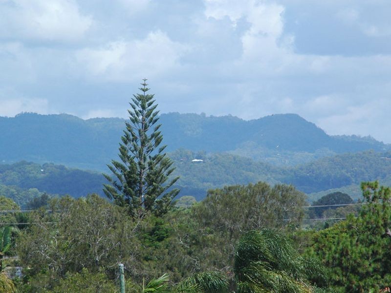 5/61 Tallebudgera Drive, Palm Beach QLD 4221