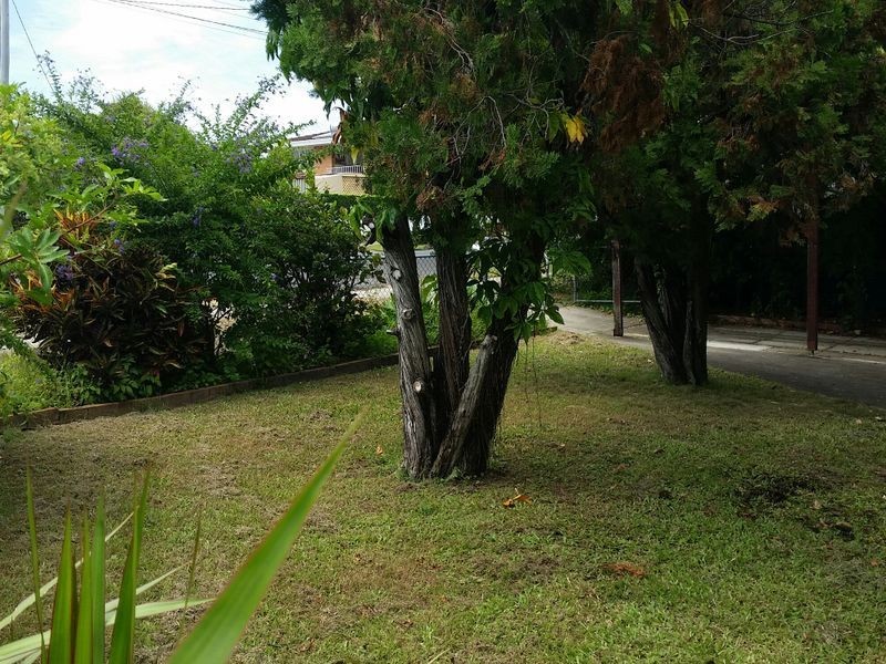 98 Wilson Street, Labrador QLD 4215