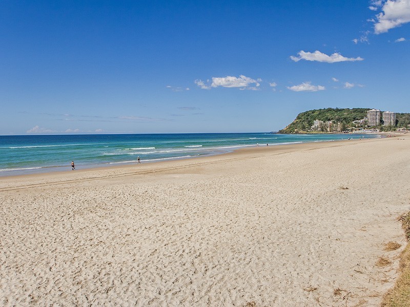 1/4 Shrike Court, Burleigh Waters QLD 4220