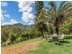 136 Araluen Road, Tallebudgera Valley QLD 4228