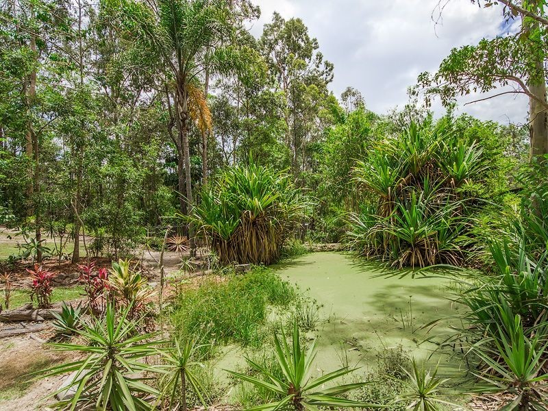 50 Bridgman Dr, Reedy Creek QLD 4227