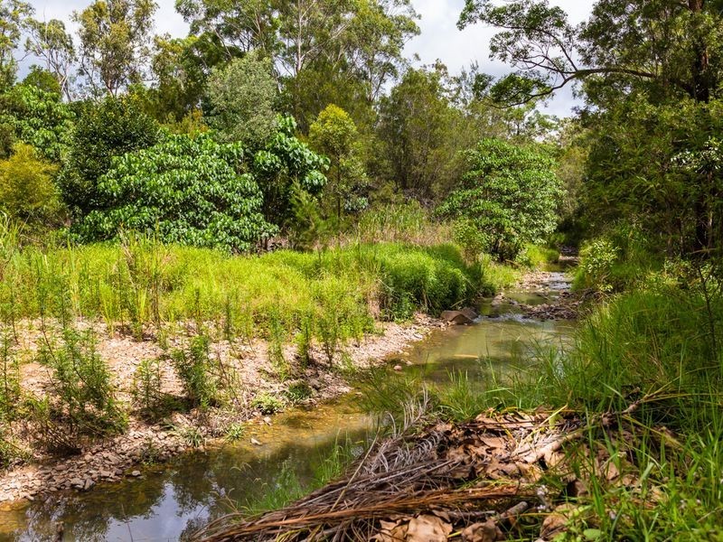 114 Bridgman Drive, Reedy Creek QLD 4227