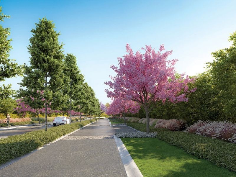 5 Harbour Side Court, Biggera Waters QLD 4216