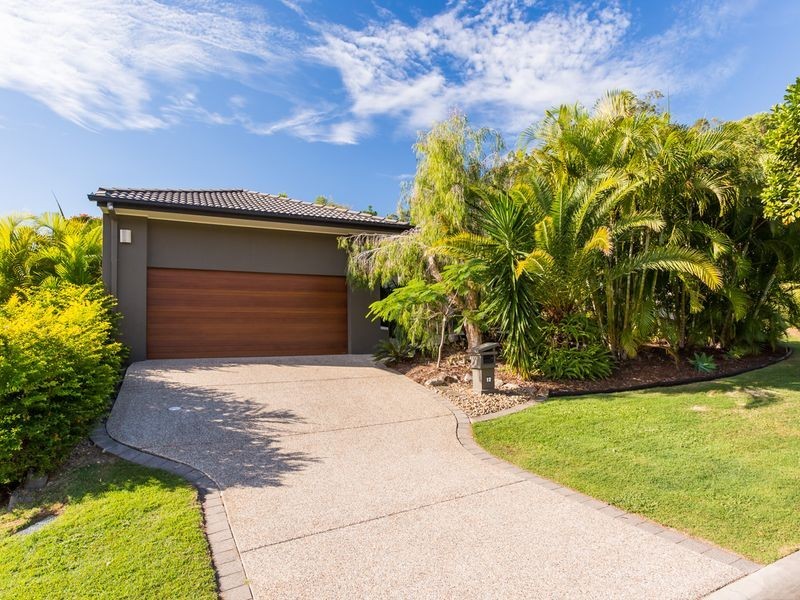 12 Coffeebush Court, Reedy Creek QLD 4227