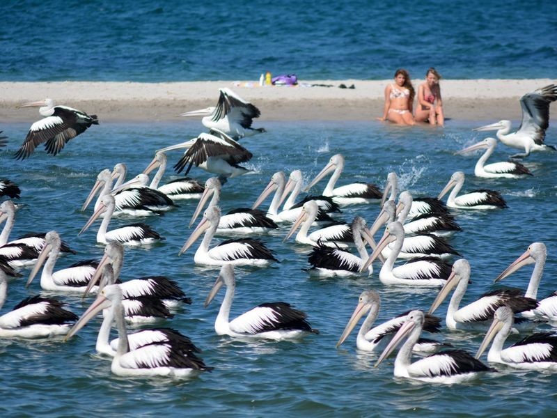 19 Baker Avenue, Labrador QLD 4215