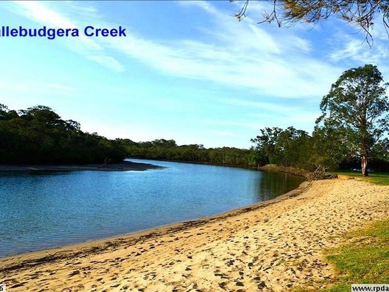 19 Saffron Street, Elanora QLD 4221