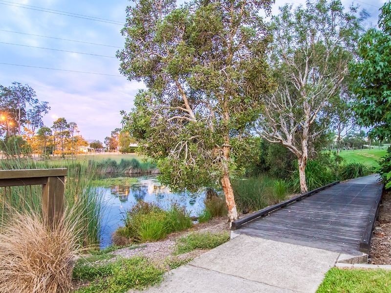 25 York Creek Crescent, Reedy Creek QLD 4227