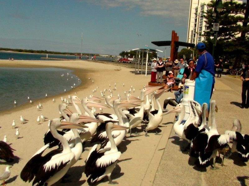 14 – 16 Bright Avenue, Labrador QLD 4215