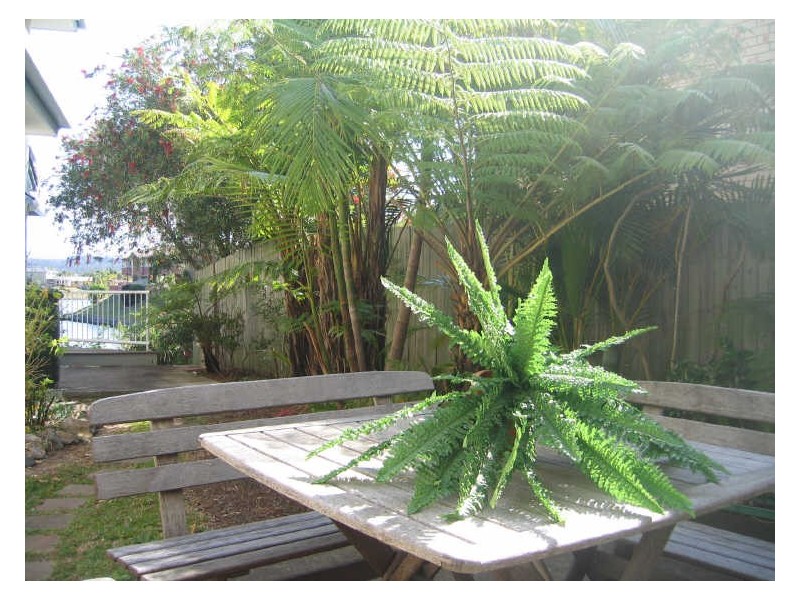 2/270 Christine Avenue, Burleigh Heads QLD 4220