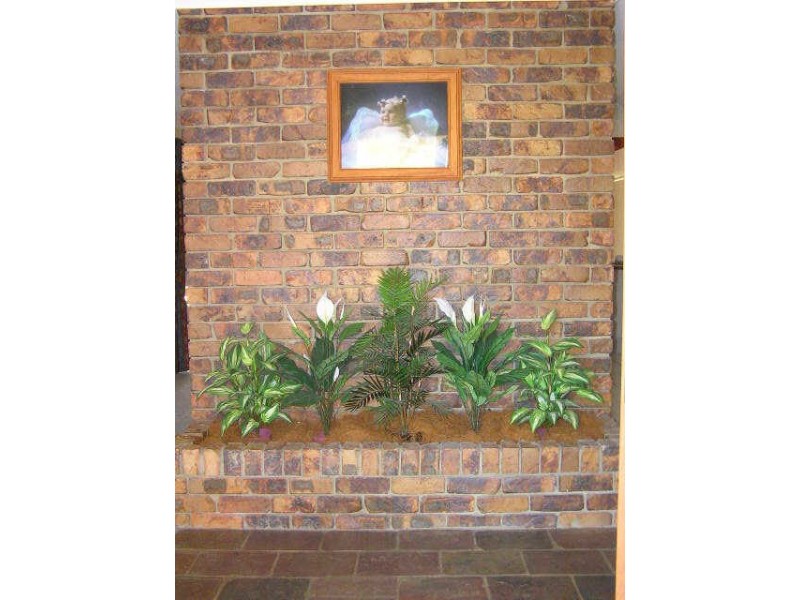 7 Silkyoak Court, Burleigh Waters QLD 4220