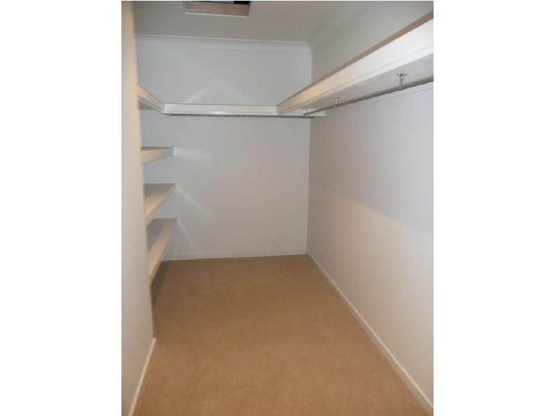 Palm Meadows Drive, Carrara QLD 4211