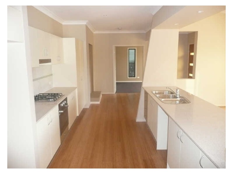 11 Molonglo Close, Reedy Creek QLD 4227