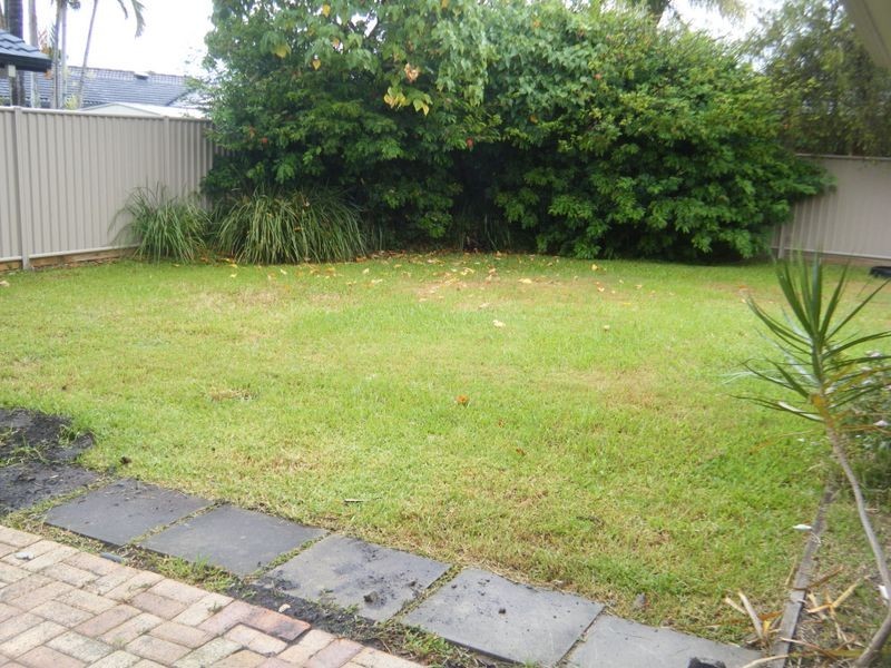 6 Shearwater Street, Burleigh Waters QLD 4220