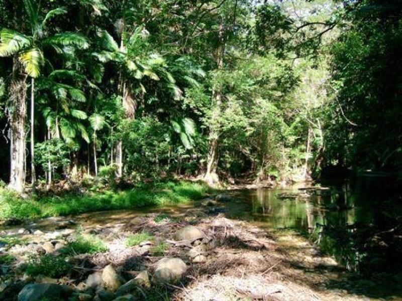 1830 Tallebudgera Creek Road, Tallebudgera Valley QLD 4228