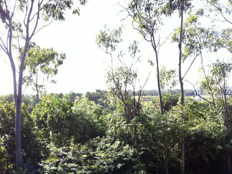 Reedy Creek QLD 4227