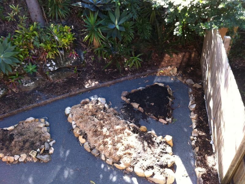 Reedy Creek QLD 4227