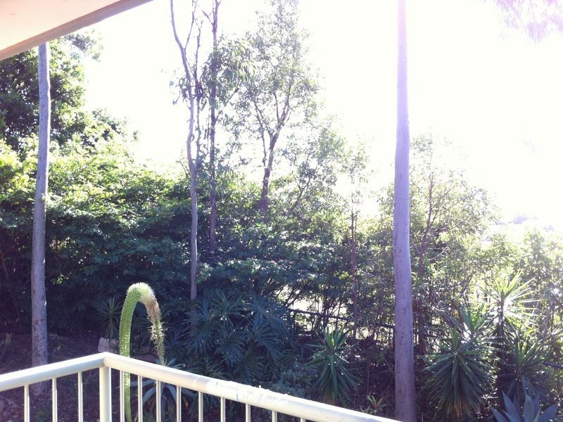 Reedy Creek QLD 4227