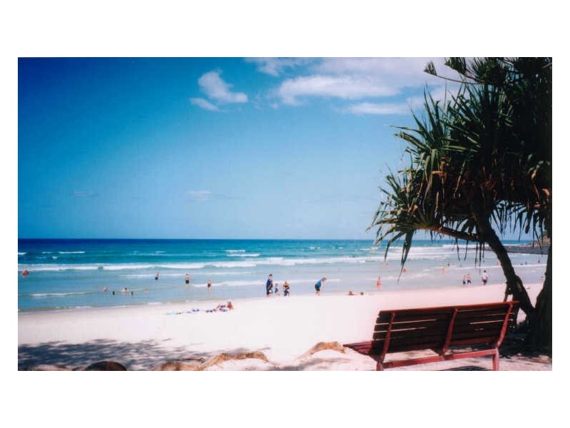 Takeout Angels, Burleigh Heads QLD 4220