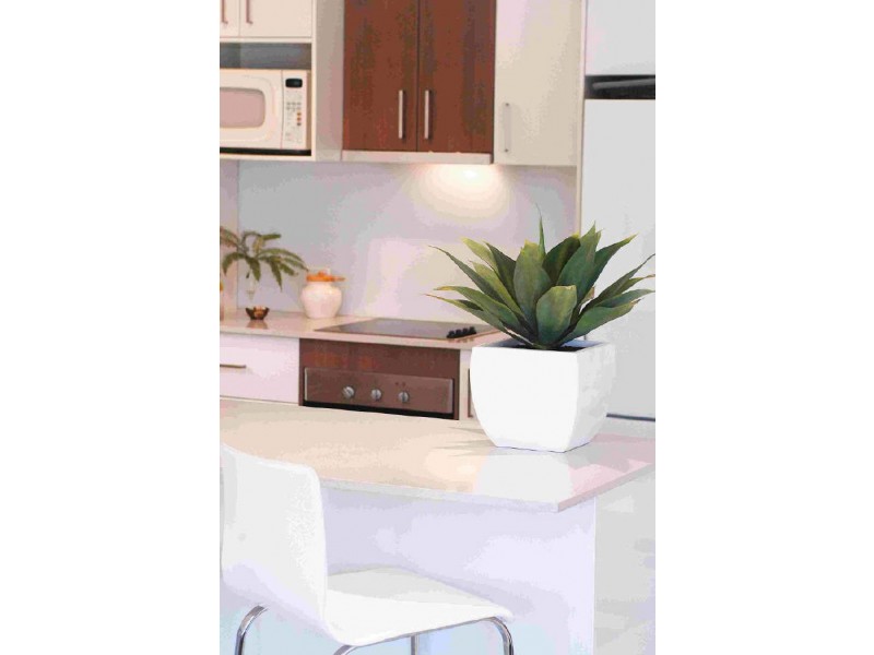 Varsity Lakes QLD 4227