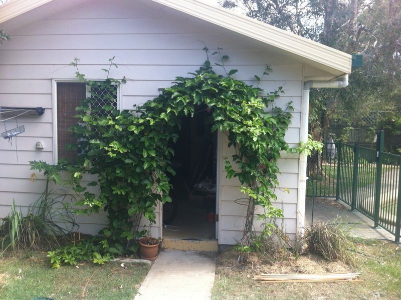 20 Bunyip Street, Burleigh Heads QLD 4220