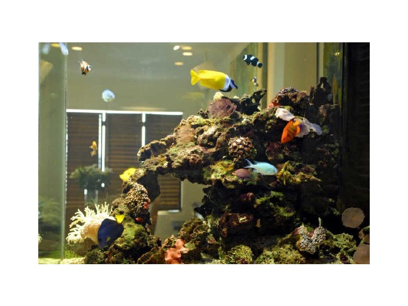 Mermaid Beach QLD 4218