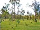 LOT 201 Glen Cairn Rd, Glen Cairn QLD 4342