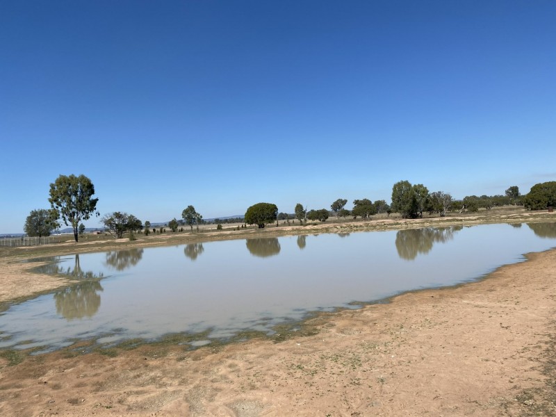 16 Topaz Crescent, Lockyer Waters QLD 4311