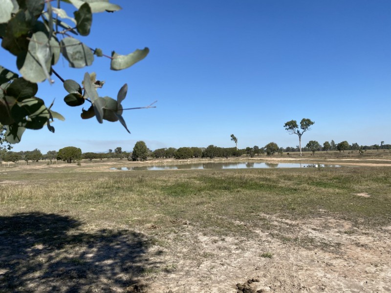 16 Topaz Crescent, Lockyer Waters QLD 4311