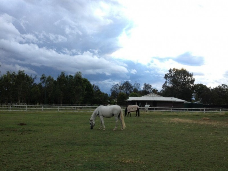 Morton Vale QLD 4343