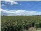 6 Lyons Road, Lake Clarendon QLD 4343