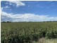 6 Lyons Road, Lake Clarendon QLD 4343