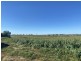 6 Lyons Road, Lake Clarendon QLD 4343