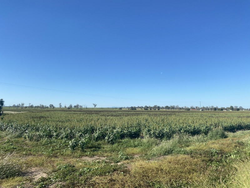 6 Lyons Road, Lake Clarendon QLD 4343