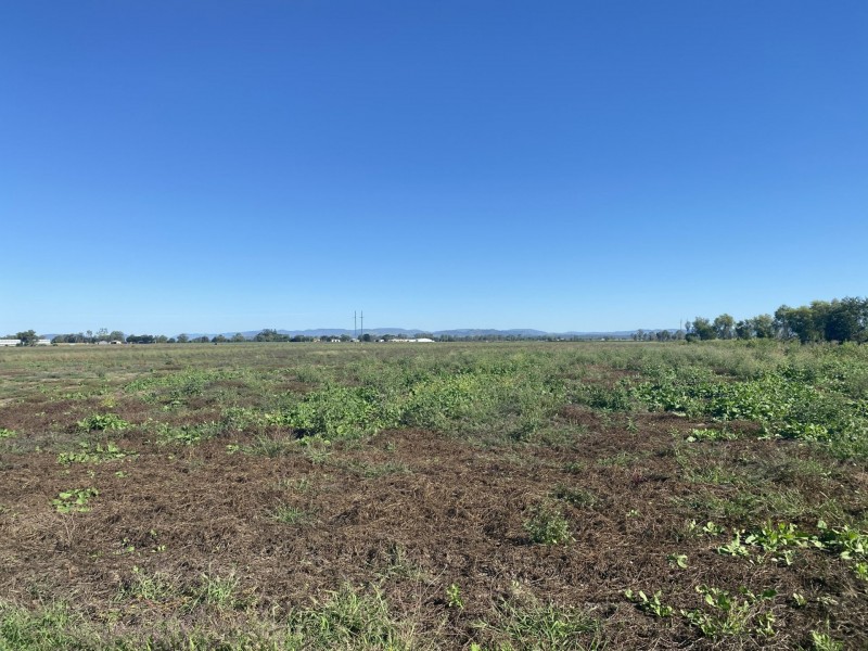 6 Lyons Road, Lake Clarendon QLD 4343
