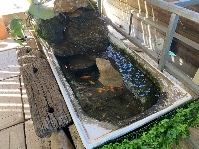 52 Buaraba Street, Gatton QLD 4343