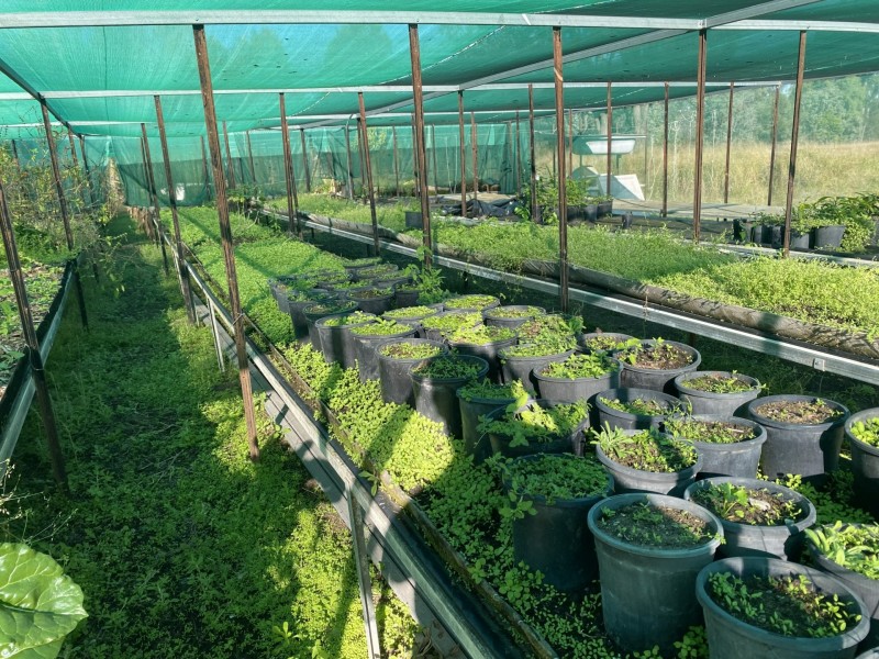 511 gatton-esk road, Adare QLD 4343