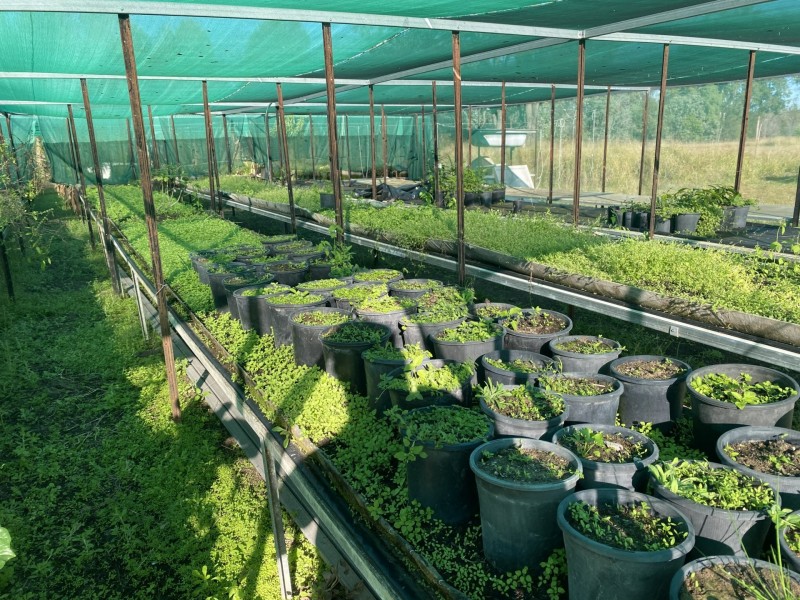 511 gatton-esk road, Adare QLD 4343