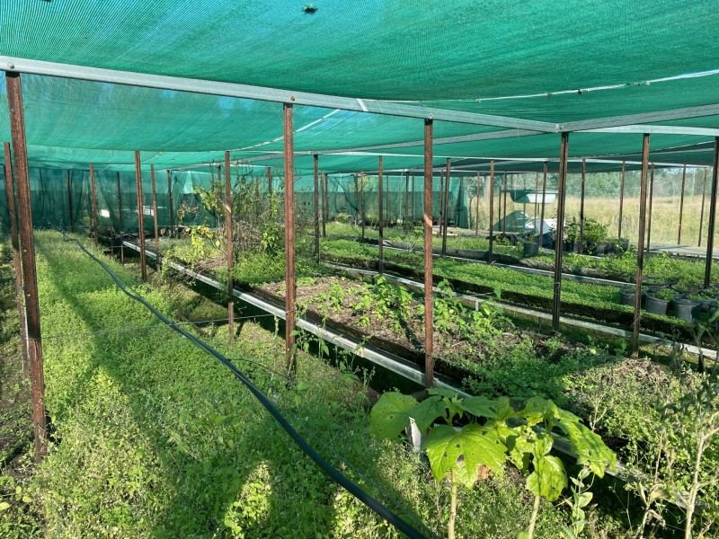 511 gatton-esk road, Adare QLD 4343