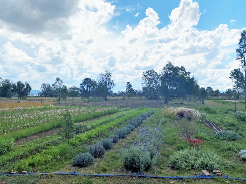 33 Werth Street, Helidon QLD 4344