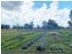 33 Werth Street, Helidon QLD 4344