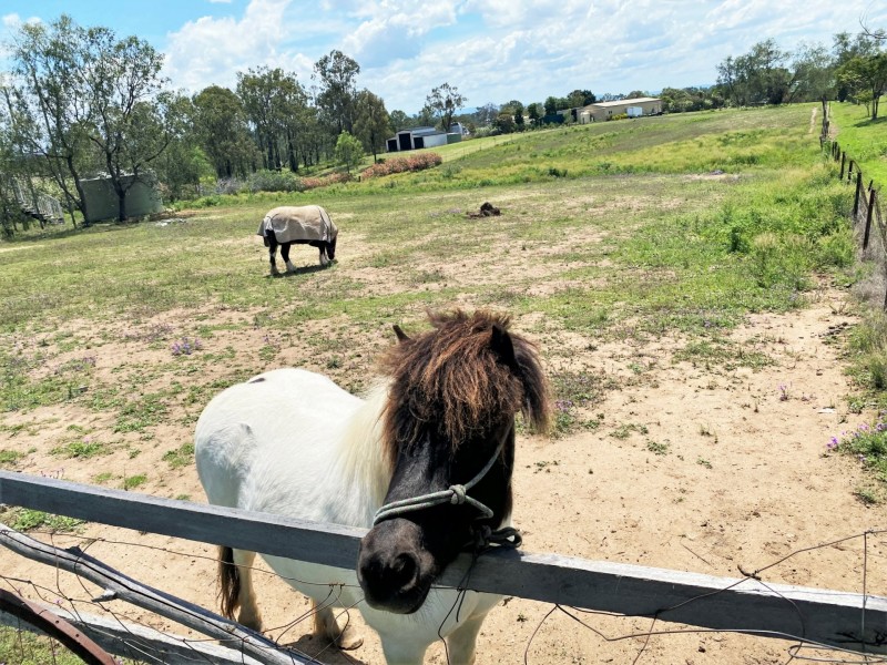 31 Edgerton Drive, Plainland QLD 4341