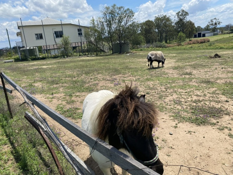 31 Edgerton Drive, Plainland QLD 4341