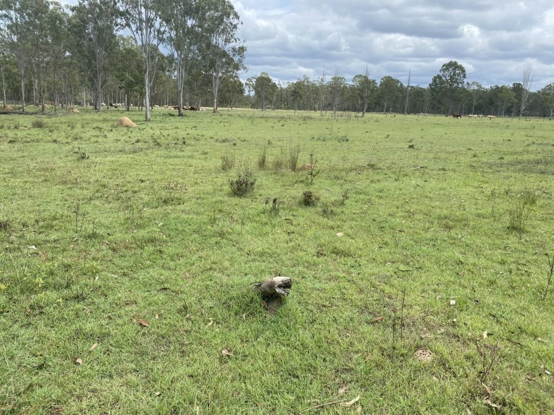 26 KELLY ROAD, Spring Creek QLD 4343