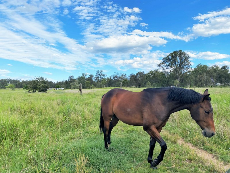 22 Forest Hill Fernvale Road, Forest Hill QLD 4342