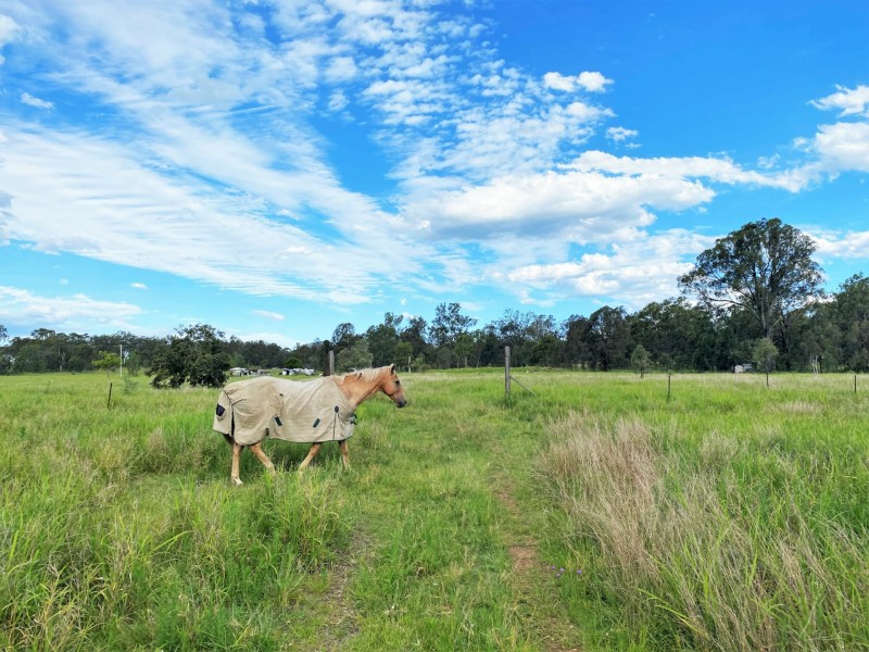 22 Forest Hill Fernvale Road, Forest Hill QLD 4342