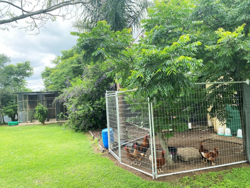 55 Zabels Road, Minden QLD 4311