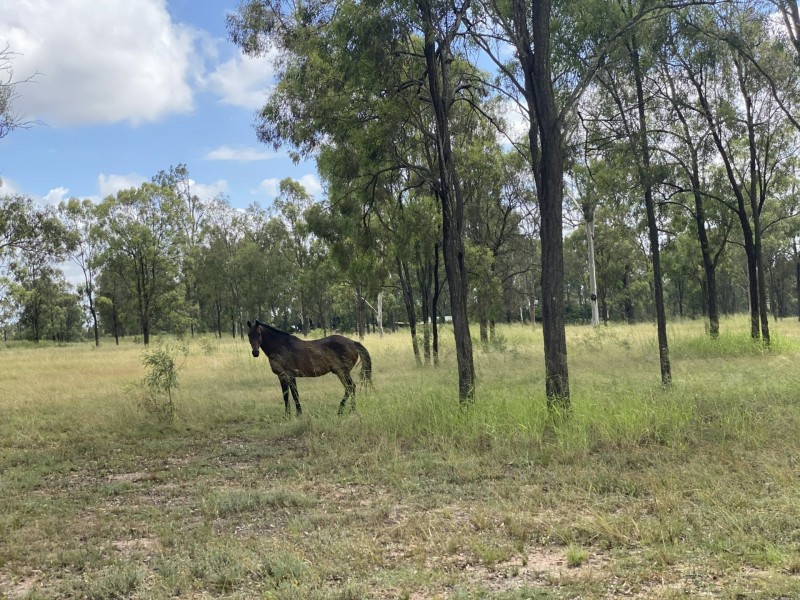 36 Forbe Road, Forest Hill QLD 4342