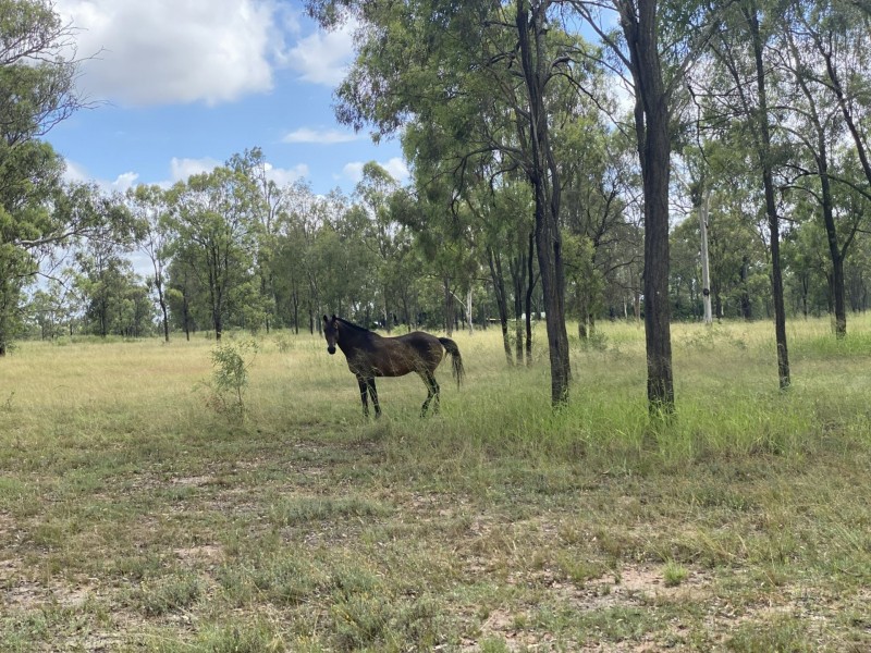 36 Forbe Road, Forest Hill QLD 4342