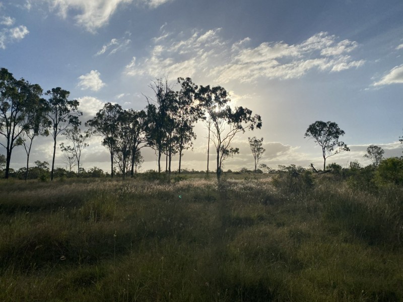 36 Forbe Road, Forest Hill QLD 4342